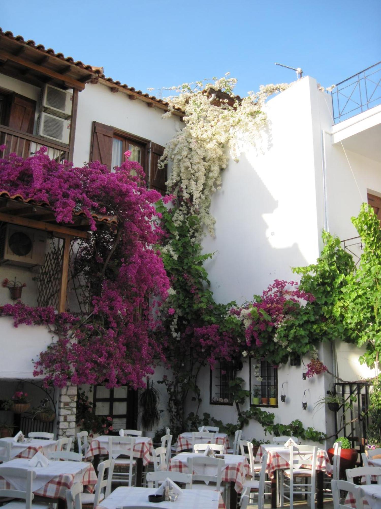 Mouria Hotel Skiathos Exteriér fotografie