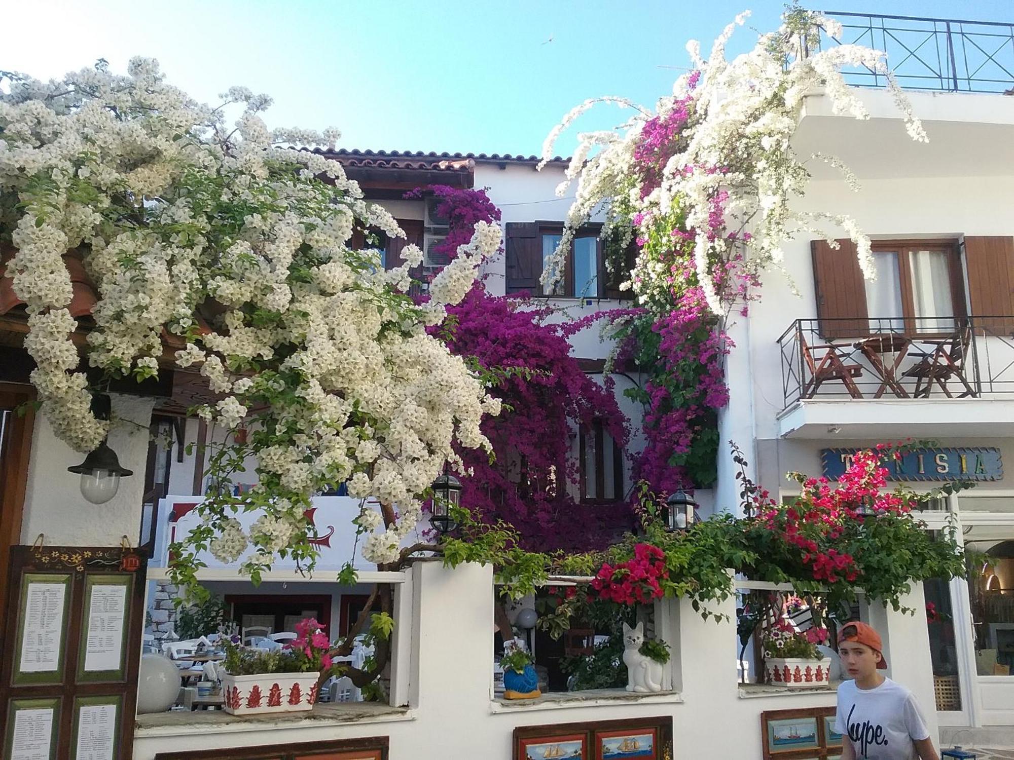 Mouria Hotel Skiathos Exteriér fotografie