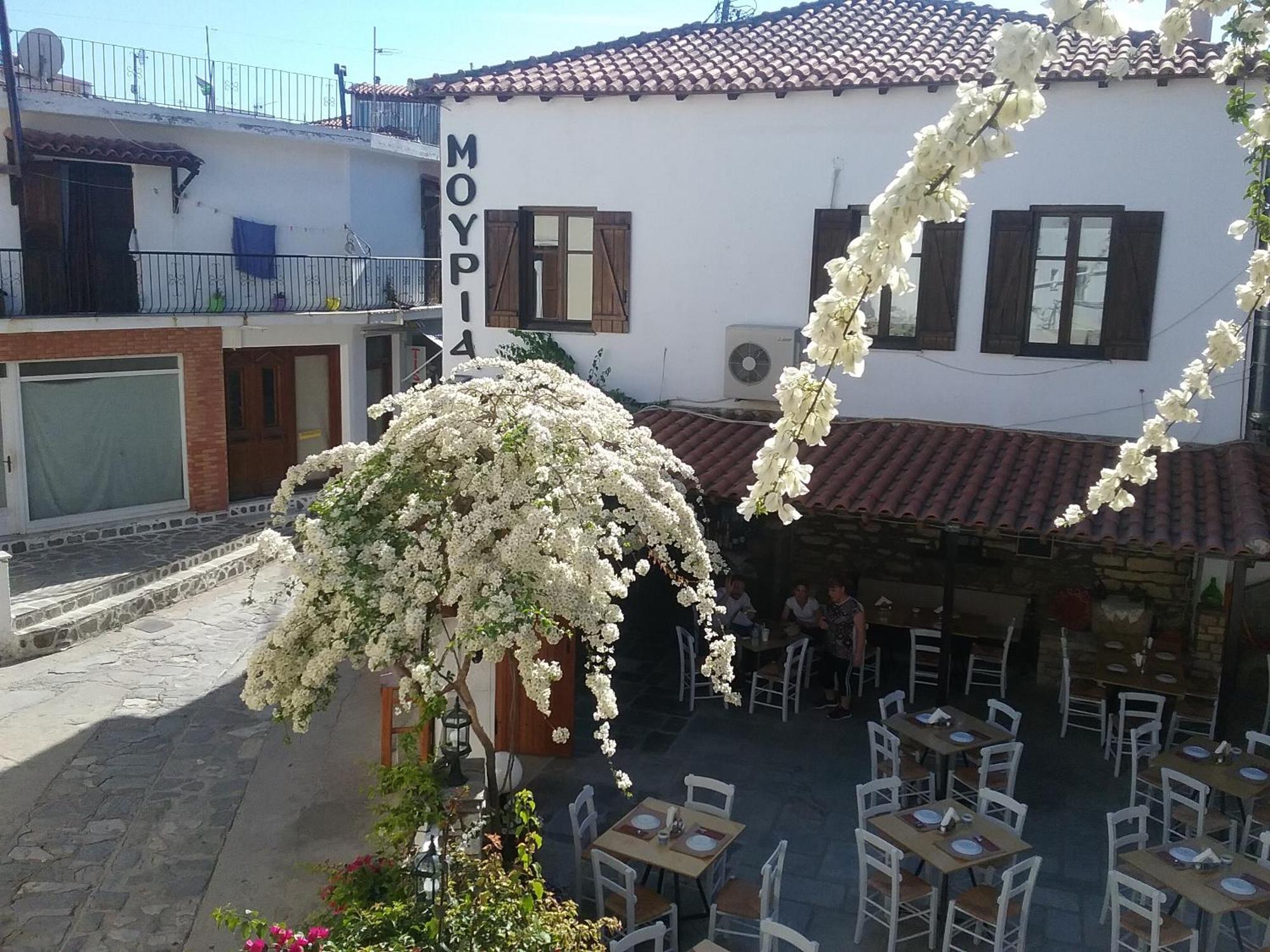 Mouria Hotel Skiathos Exteriér fotografie